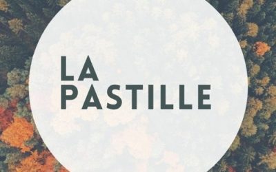 .. La Pastille n°2 – Inception gouvernementale