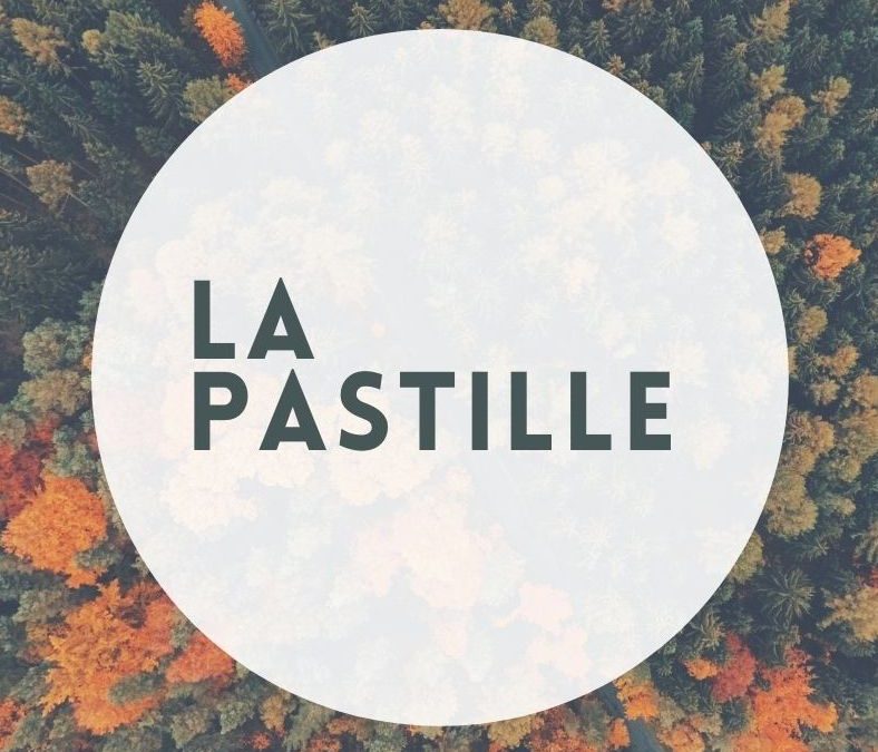 (PASTILLE) Fin de Semaine – Immolation