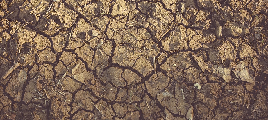 (INFO) Manque D’eau en France comment éviter la catastrophe avec Emma Haziza